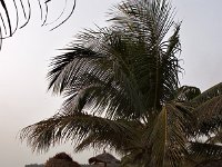 gambia03