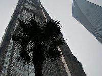 2009 Total Solar Eclipse, China and Hong Kong