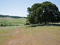 DSC 0055 2
