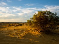 Nambung National Park