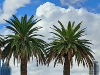 Perth