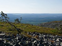 Pyhä-Luosto National Park in Lapland