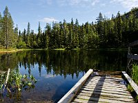 Pyhä-Luosto National Park in Lapland