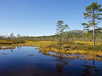 Pyhä-Luosto National Park in Lapland