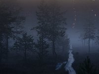 41