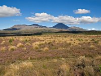 Tongariro National Park