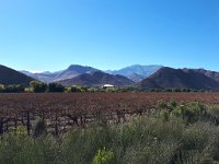 Valle del Elqui