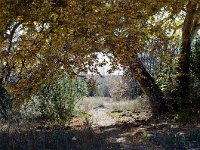 Gila, New Mexico