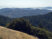 Muir Woods, California